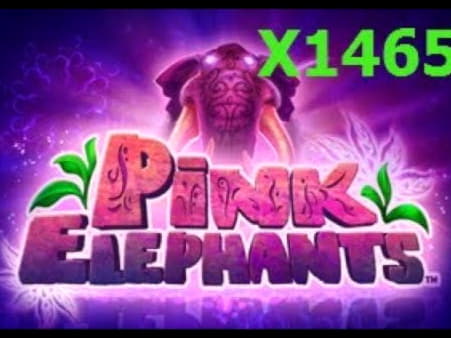 יורו 425 קוד בונוס ללא הפקדה בקזינו Spin Palace